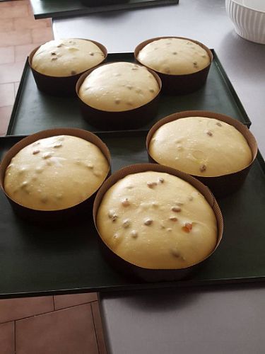 ArtePanettone Rho 2015
